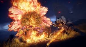 艾尔登法环黑夜君临怎么搭配队伍职业