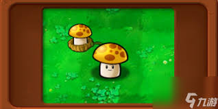 植物大战僵尸杂交版辣椒阳光菇有什么用