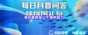 海羽星具备什么能力