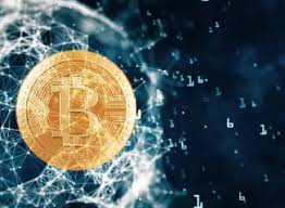 什么钱包能直接用于购买