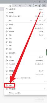 Edge浏览器如何设置下载开始时显示下载菜单