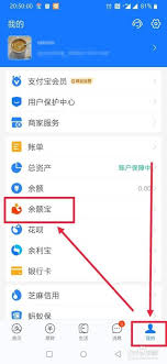 如何在支付宝查看余额宝收益