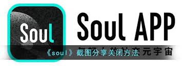soul怎么关闭截屏分享