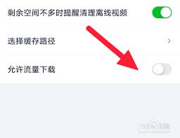 爱奇艺极速版如何设置允许流量下载