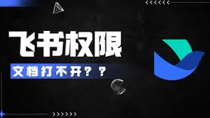 飞书音频权限打不开怎么办