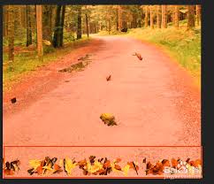 premiere如何虚化视频边缘