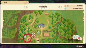 牧场物语风之繁华集市全资源点在哪