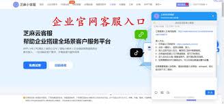 网站怎样接入在线客服系统