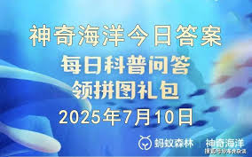 一条鲨鱼10年内大约能换掉多少颗牙齿