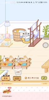 奶酪单词如何更换仓鼠