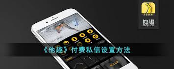 他趣如何设置私信价格