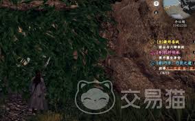 下一站江湖2白首太玄经怎么获取