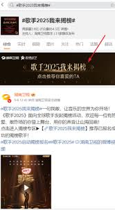 歌手2025如何进行投票