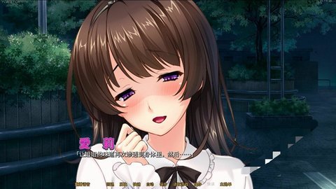 病娇姐姐离线版