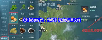 大航海时代传说氪金怎么选
