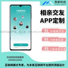 soul虚拟伴侣打电话如何收费