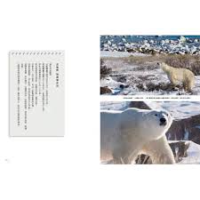 极地海豹全图鉴怎么捕获