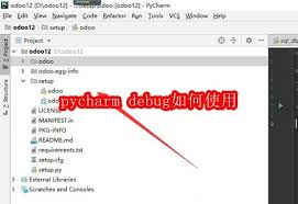 如何使用pycharm debug
