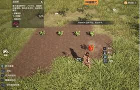 荒野起源饰品怎么获取