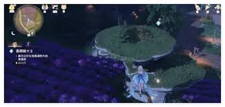 无限暖暖站在巨型画帽鸡上举起相机记住它的模样拍照任务如何做