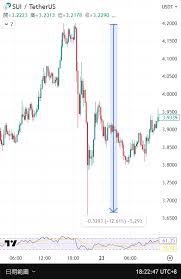 sui币是否值得长期持有