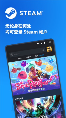 steam定制版