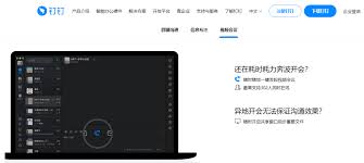 钉钉远程会议共享屏幕黑屏如何解决