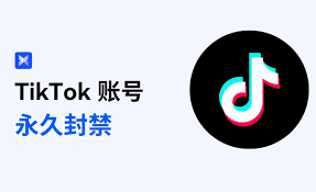 TikTok账号被封的原因是什么