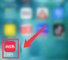发小红书如何防止被存图