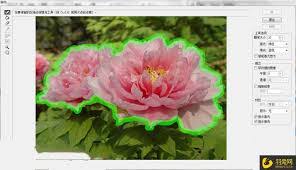 如何用ps制作花朵光束效果