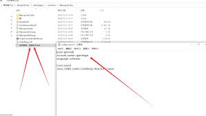真菌朋克游侠联机怎么用