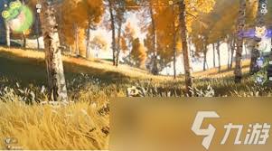 伊莫全息训练方法有哪些