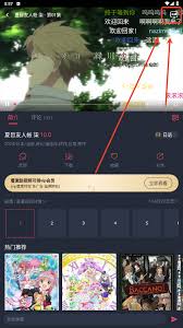 动漫共和国如何进行投屏