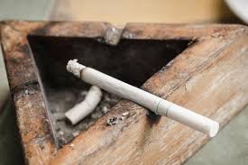 埋在土里的烟头会影响植物生长吗