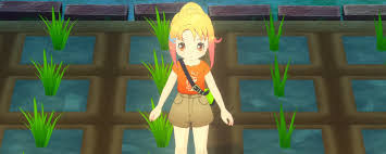 牧场物语风之繁华集市前期如何培养6星农作物