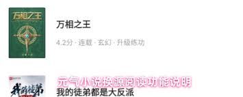 元气小说App如何进行换源阅读
