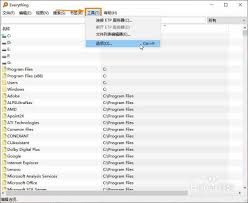 Everything怎么设置允许圆括号