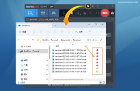 Bandicam录制的视频默认存储位置在哪