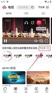 央视频怎么看卫视回放