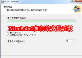 如何进行NiceLabel对象移动技巧
