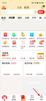 特价版淘宝如何查看自己的评论