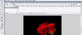 Macromedia Flash 8怎么制作动态贺卡