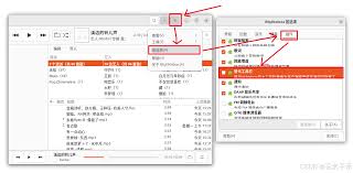 如何设置clementine播放器使用播放增益元数据
