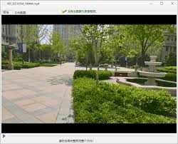 diskgenius如何预览文件