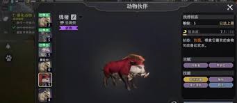 荒原曙光如何骑野猪