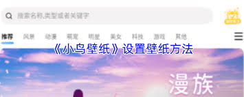 小鸟壁纸如何设置桌面组件