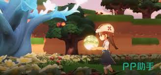 星布谷地何时上线