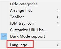 IDM下载器怎么设置中文