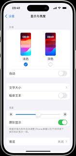 iphone17pro如何自动调节亮度