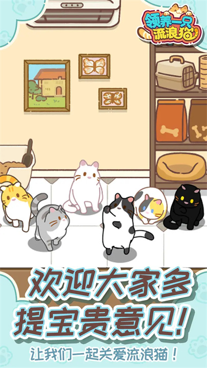 领养一只流浪猫移植版
